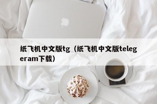 纸飞机中文版tg（纸飞机中文版telegeram下载）